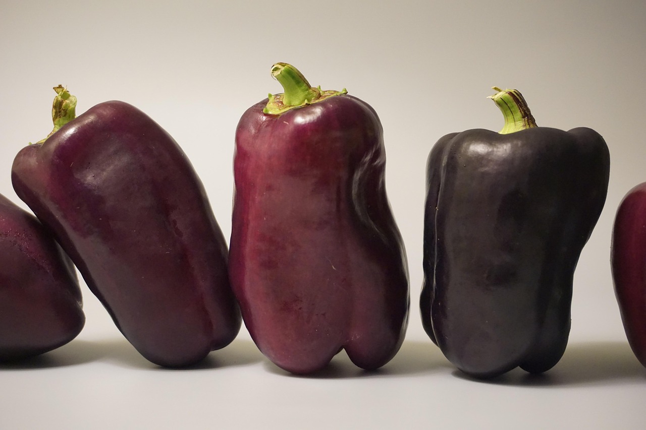 Vegetables, nature, food — From Despair to Hope: Success Stories of Drug Rehabilitation in Morristown, NJ