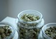 cannabis concentrates