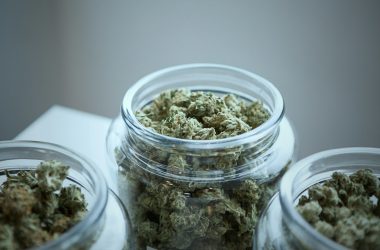 cannabis concentrates